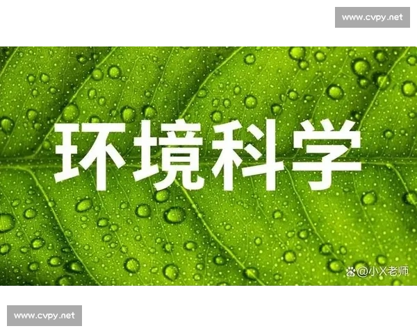 实现双碳目标推动绿色发展助力经济转型的路径与策略探讨