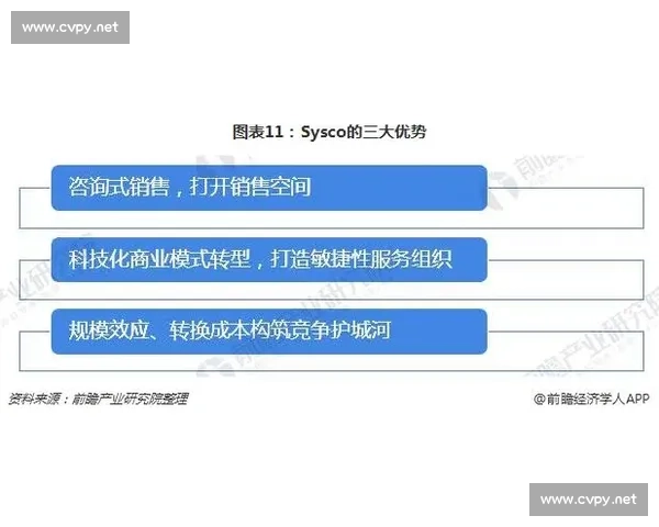 权威解读新时代发展战略与治理现代化实践路径深度解析与前瞻思考